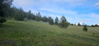6 Tract Bull Elk, Drummond, MT 59832