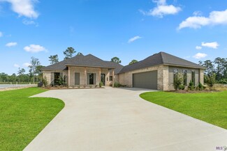 9117 Hillon Hood Rd, Denham Springs, LA 70726