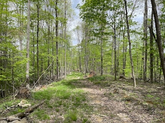 St, Mill Creek, WV 26280
