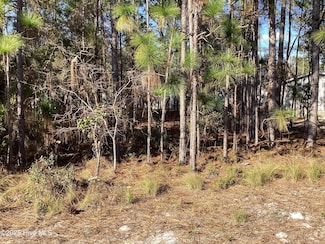 3094 Rutledge Cross SW, Shallotte, NC 28470