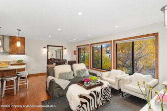 725 E Main St Unit 309, Aspen, CO 81611