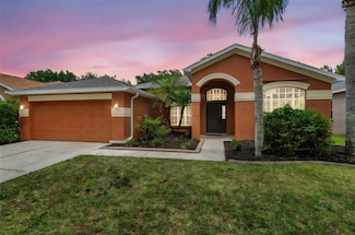 19156 Dove Creek Dr, Tampa, FL 33647