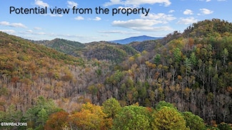 4416 Whetstone Rd, Sevierville, TN 37862
