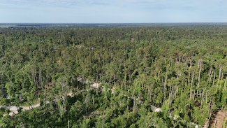 17552 12th Terrace, Live Oak, FL 32060