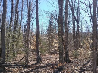 0 Mont Gabriel Rd Unit Site 14 201811200, Wolverine, MI 49799