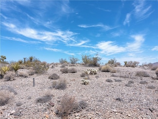Lot 41 W Floral Dr, Meadview, AZ 86444