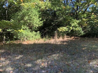 Lots 2 & 3 W Etherington St, MacKinaw City, MI 49701