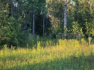 0 S Bound Rd, Rudyard, MI 49780