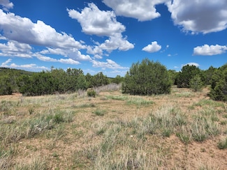 0 455 Acres Off Brannan Loop Unit 1087509, Tijeras, NM 87059