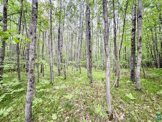 0 Kelly Rd Unit 6119685, Bennett Township, WI 54849