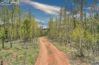 12201 S Highway 67, Cripple Creek, CO 80813