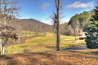 10266 Boardtown Rd, Cherry Log, GA 30522