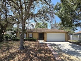 717 Chilt Dr, Brandon, FL 33510