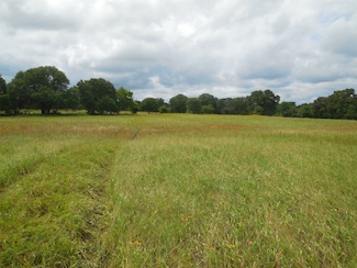 TBD County Road 488, Ranger, TX 76470