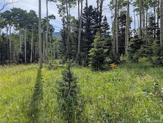 3079 Henderson Dr, Fort Garland, CO 81133