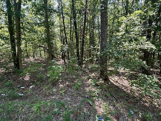0000 Whispering Pines, Licking, MO 65542