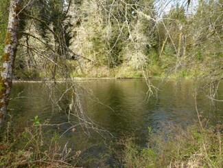 0 S Hwy 101 Unit 618074, Forks, WA 98331