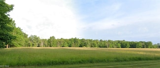 Lot C Little Mountain Rd, Kirtland Hills, OH 44060