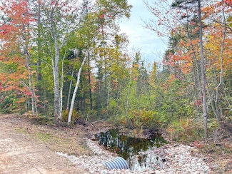 14659 N Whitefish Point Rd, Paradise, MI 49768