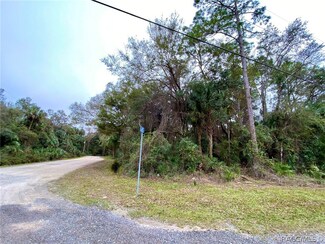 0 Gladys Unit 788970, Inglis, FL 34449