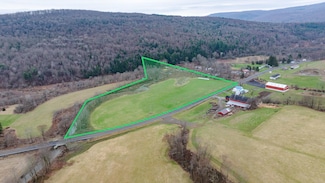 0 New York 221, Harford, NY 13784
