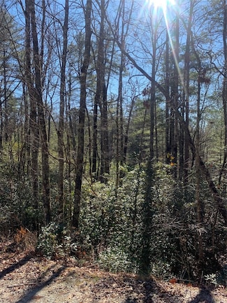 Lot 9 Oak Laurel Rd, Brevard, NC 28712