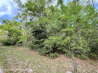 0 NW 74th Ct Unit 2252886, Manattee Road, FL 32626