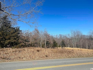00 Caaledonia Rd, Cadiz, KY 42211