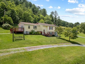 745 Pinch Creek Rd, Bland, VA 24315
