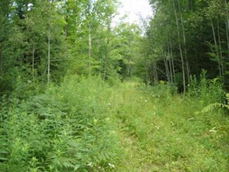 NEAR Cth F, Butternut, WI 54514