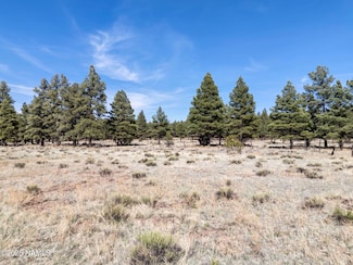 10440 Forest Service Road 144, Parks Comm Po, AZ 86018