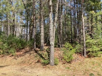 11583 Rustic Retreat Dr Unit 6, Minocqua, WI 54548
