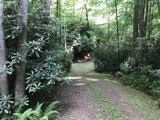 0 Duncan Rd, Buckeye, WV 24924