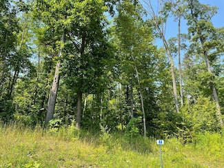 Lot 44 Hemlock Hills Rd, Towanda, PA 18848