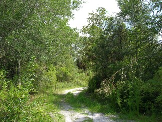 00 SW Cr Easement Rd, Cedar Key, FL 32625