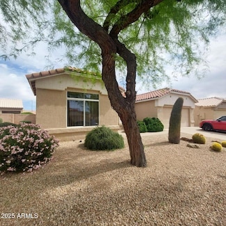 14314 W Pecos Ln, Sun City West, AZ 85375