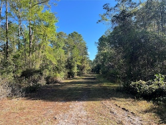 208 SE 3rd St, Georgetown, FL 32139