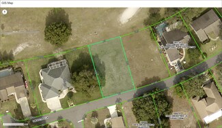35015 Smoketree Ln, Ridge Manor, FL 33523