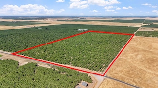 0 Milton Rd Unit 225100983, Farmington, CA 95230