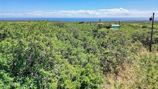 0 Pele St Unit 717808, Naalehu, HI 96772