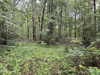 0 Panther Branch Rd Unit 1302586, Jamestown, TN 38556