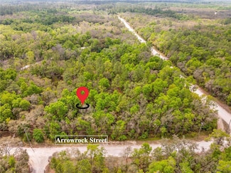 34016 Arrowrock St, Webster, FL 33597