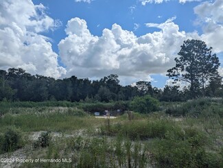 14402 Trinity Rd, Brooksville, FL 34613