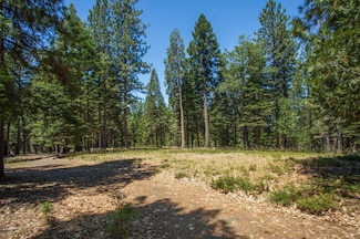0 Canyon View Ct Unit 225081154, Alta, CA 95701