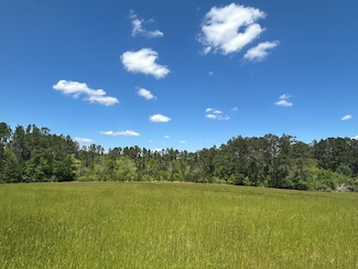38.02 ac Old Thomasville Rd, Ochlocknee, GA 31773