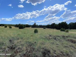 83 3035, Concho, AZ 85924