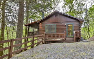 988 Joann Sisson Rd, Cherry Log, GA 30522