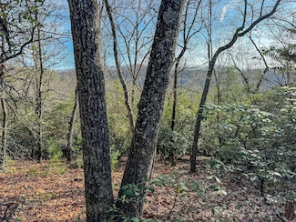 Tract 1 Dave Whitaker Rd, Horse Shoe, NC 28742