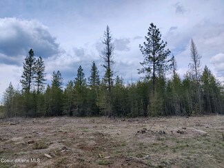 NKA Cricket Loop Lot 4 Blk 1, Oldtown, ID 83822