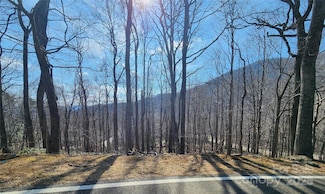 47 Wedgewood Terrace Unit 1201, Black Mountain, NC 28711